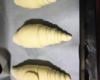 Pão caseiro