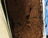 Bolo de chocolate de liquidificador