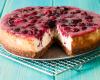 Cheesecake de amora