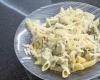 Macarrão ao molho branco com Frango e Brócolis