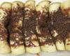 Panqueca doce de brigadeiro