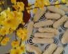 Biscoito de polvilho com farinha de milho