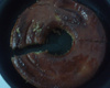Pudim de pão rápido e simples