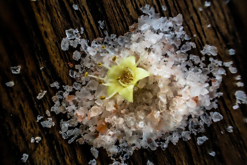 flor-de-sal-the-gourmet-salt-thats-taking-over
