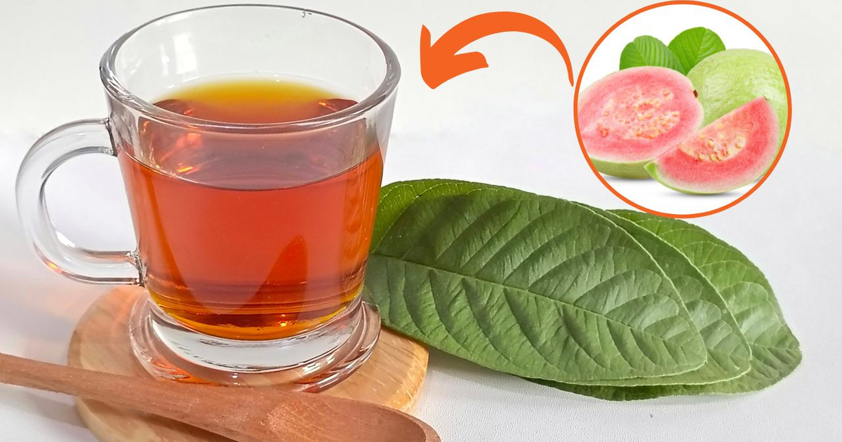 Chá de goiabeira serve para quê? Conheça a bebida com ação antioxidante ...