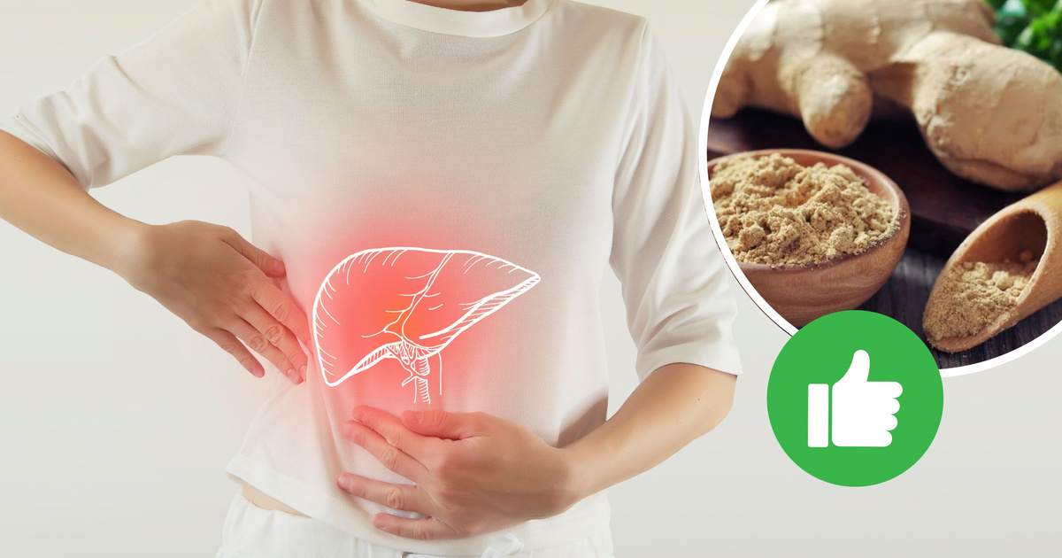 Como usar o gengibre para limpar o fígado: é um antídoto antioxidante e ...