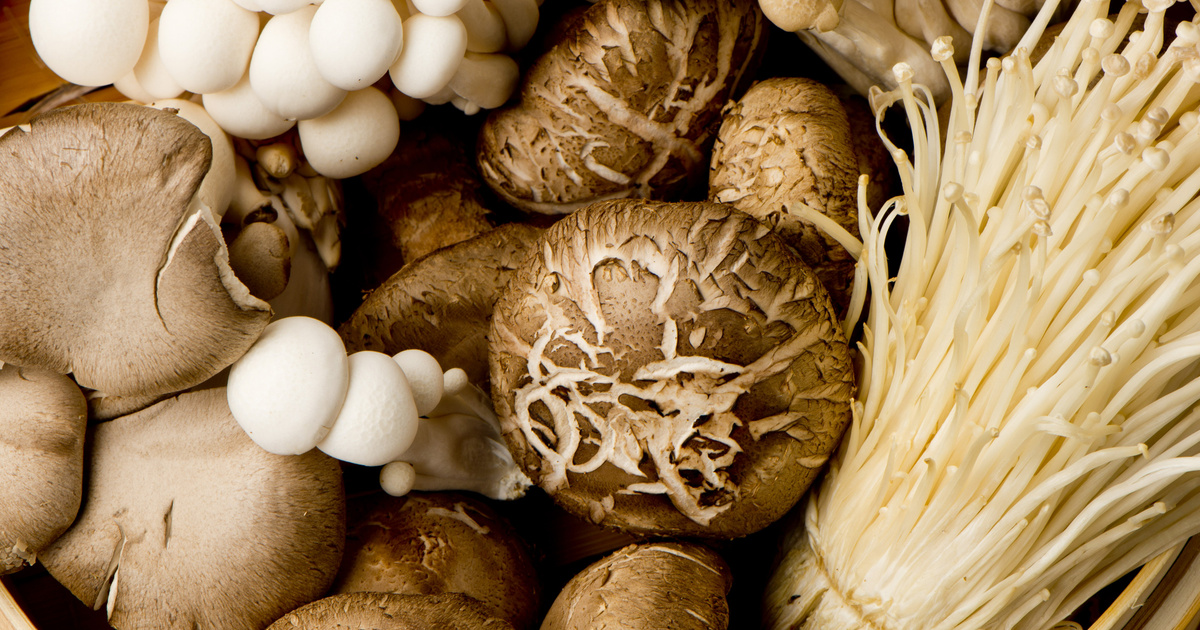 Como limpar cogumelo fresco com um utensílio inusitado que todo mundo tem em casa TudoGostoso
