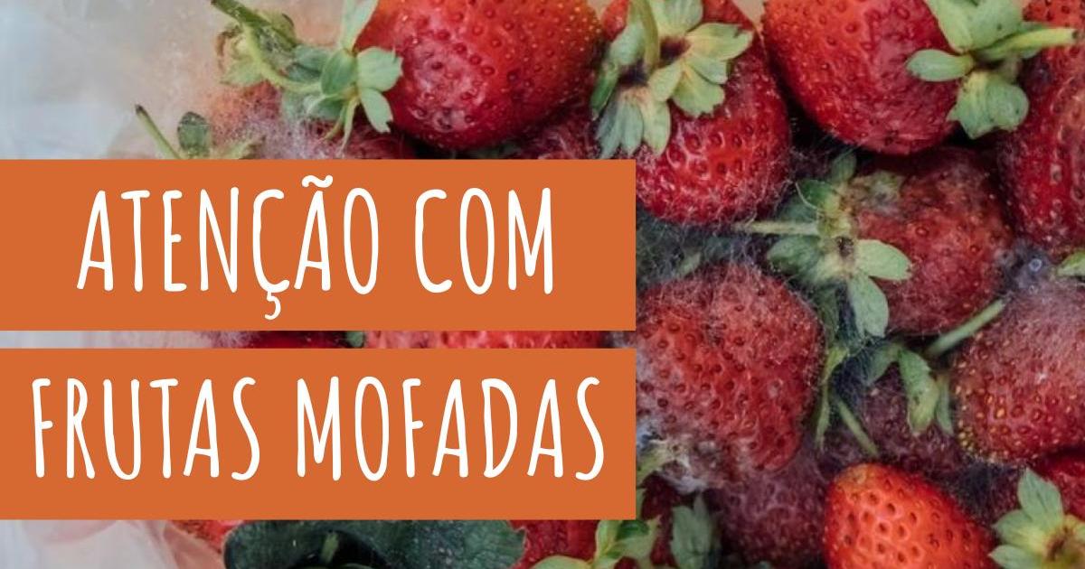 21 ideias de Frutas em 2023  minha galeria de fotos, imagem