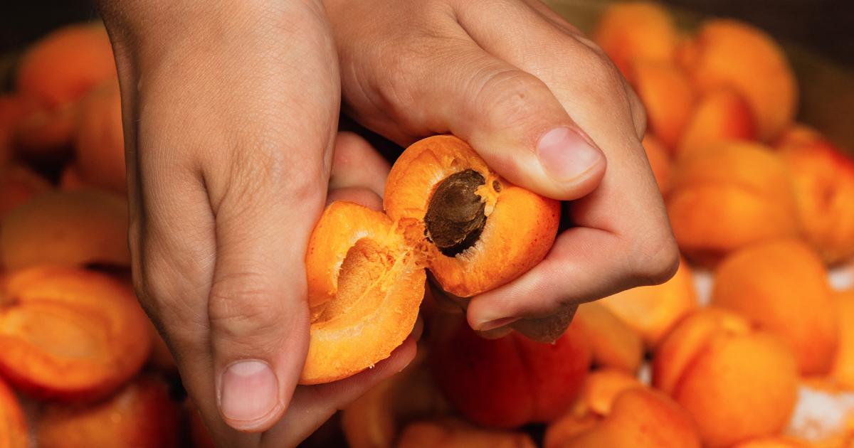 Damasco, A Fruta da Pele