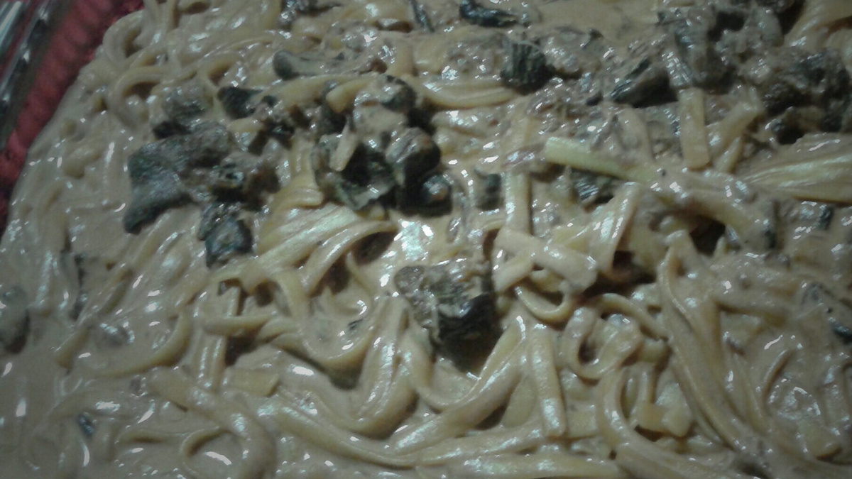 Fettuccine ao molho funghi secci
