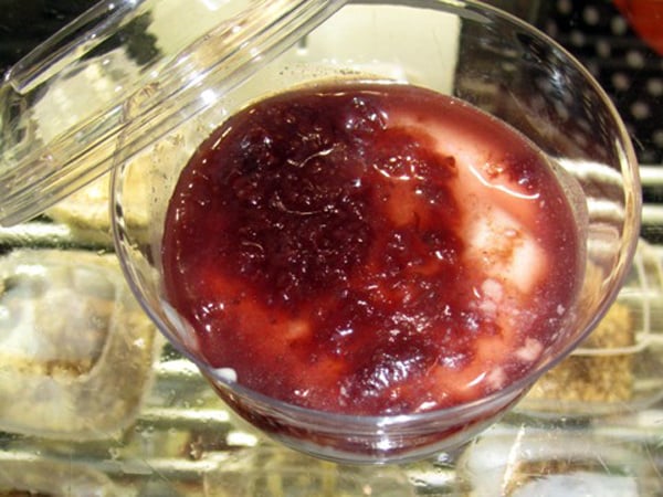 Panna Cotta Alle Fragole