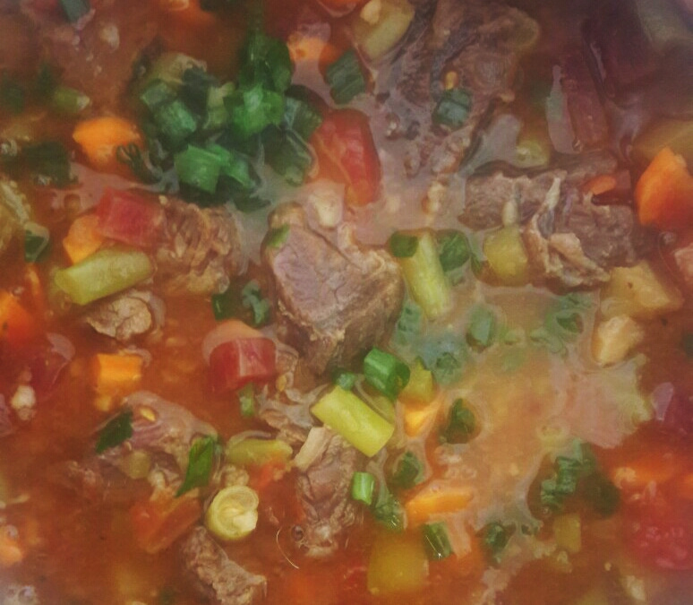 Sopão saboroso light