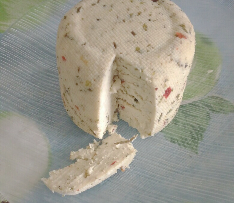 Queijo ricota