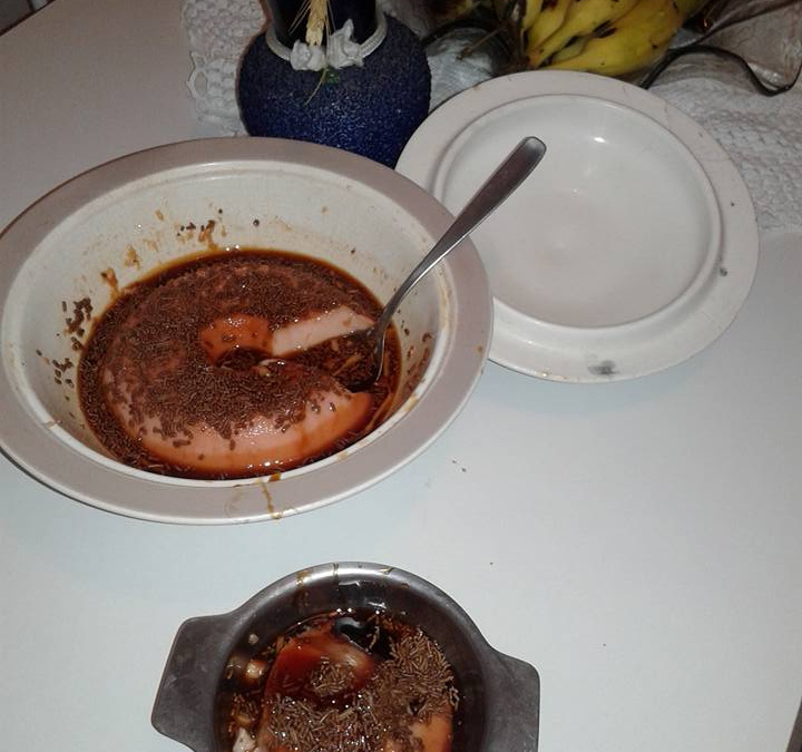 Flan de kefir de leite rose de geladeira