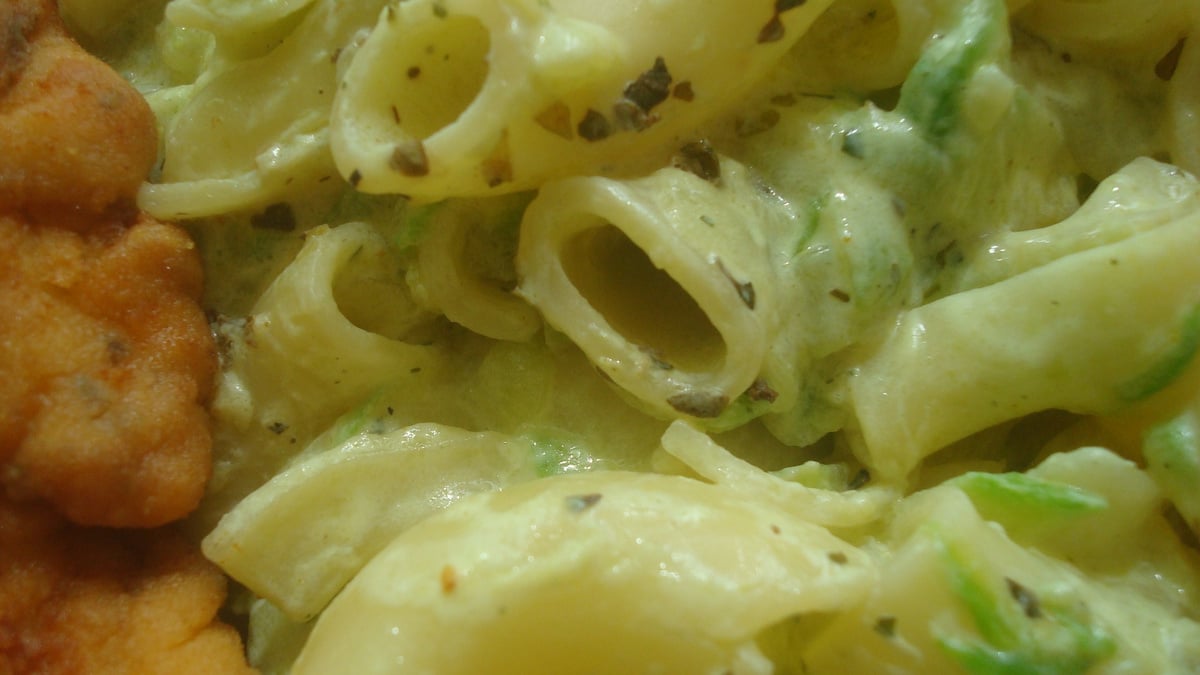 Macarrão cremoso com abobrinha