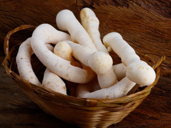Biscoito de polvilho assado fácil