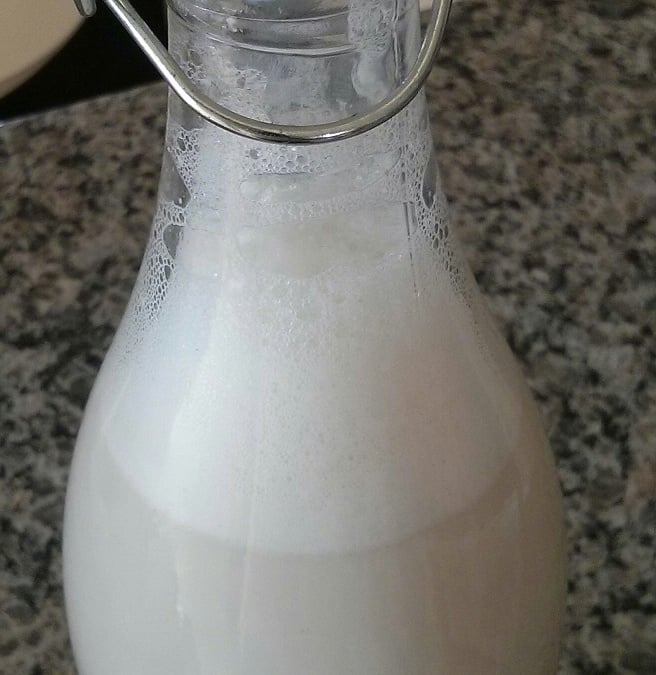 Leite fermentado caseiro (igual yacult)