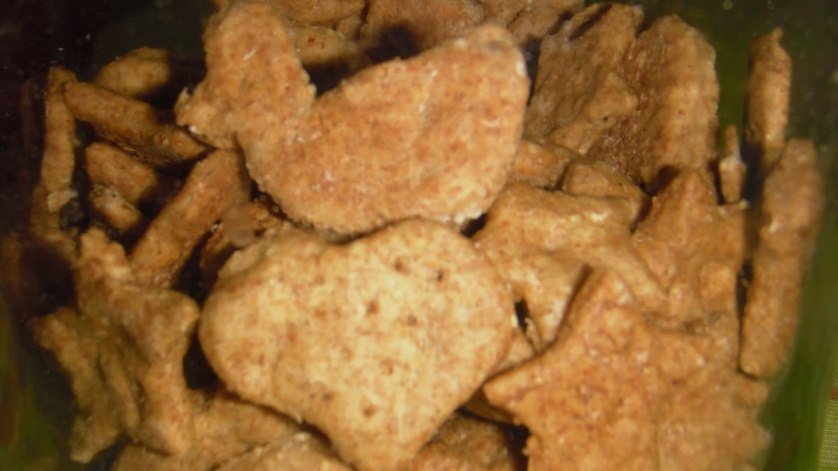 Biscoito integral com farinha de centeio