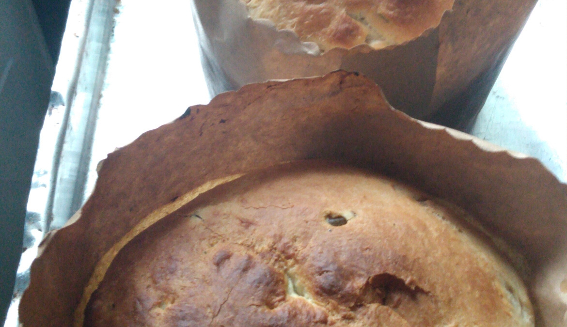 Panetone caseiro