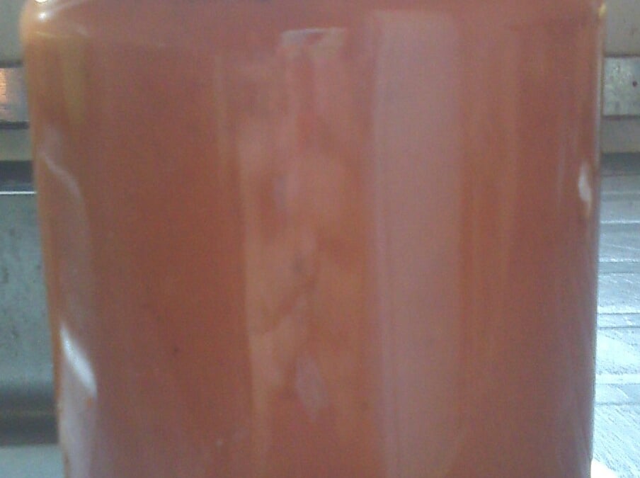 Extrato de tomate caseiro