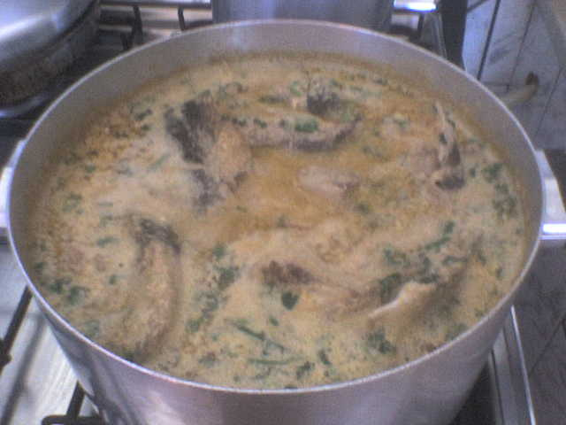 Caldo de rabo e cabeça de peixe (retalho de peixe)