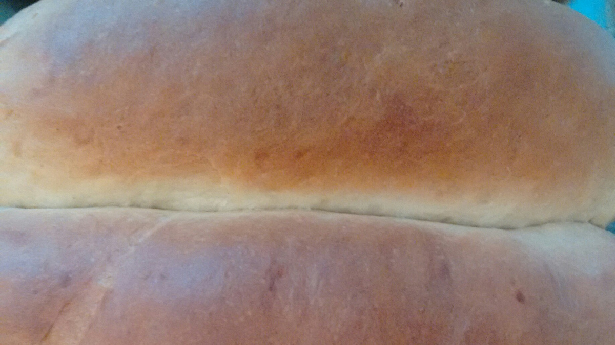 Pão caseiro (muito bom, muito macio)