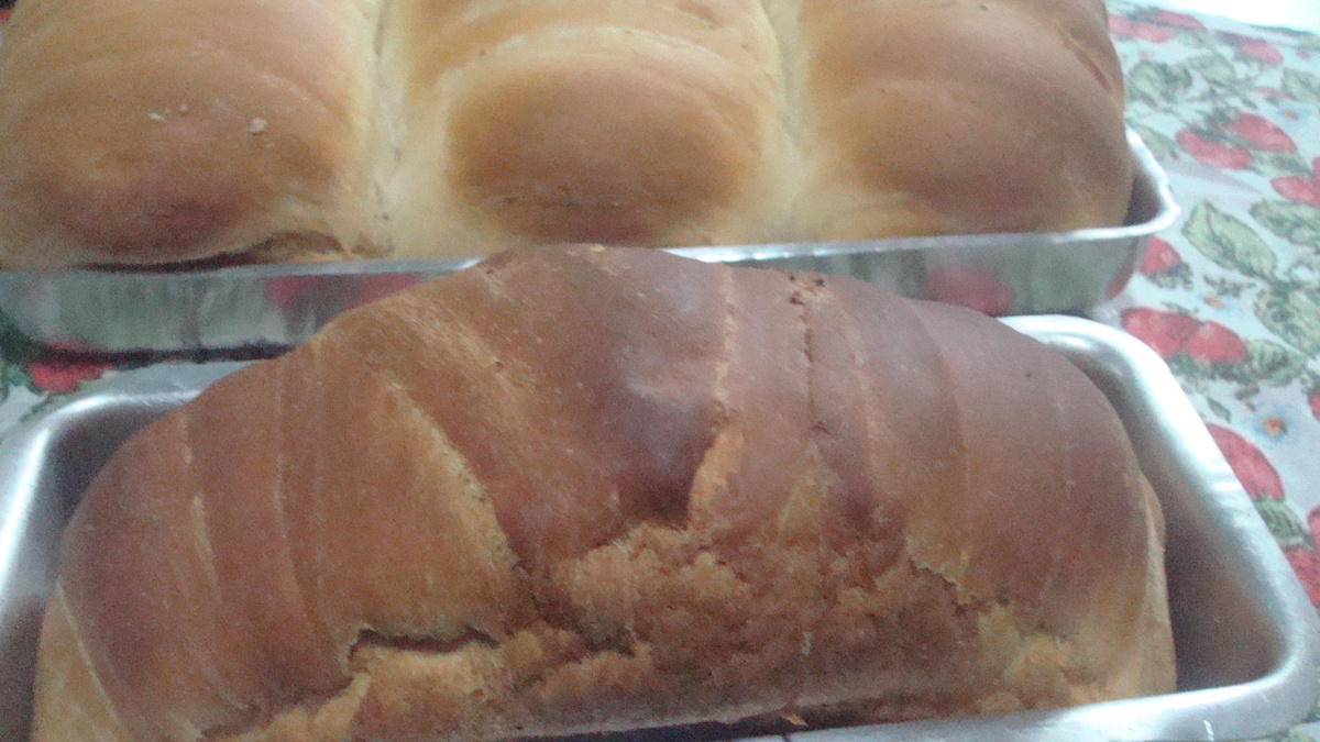 Pão caseiro simples