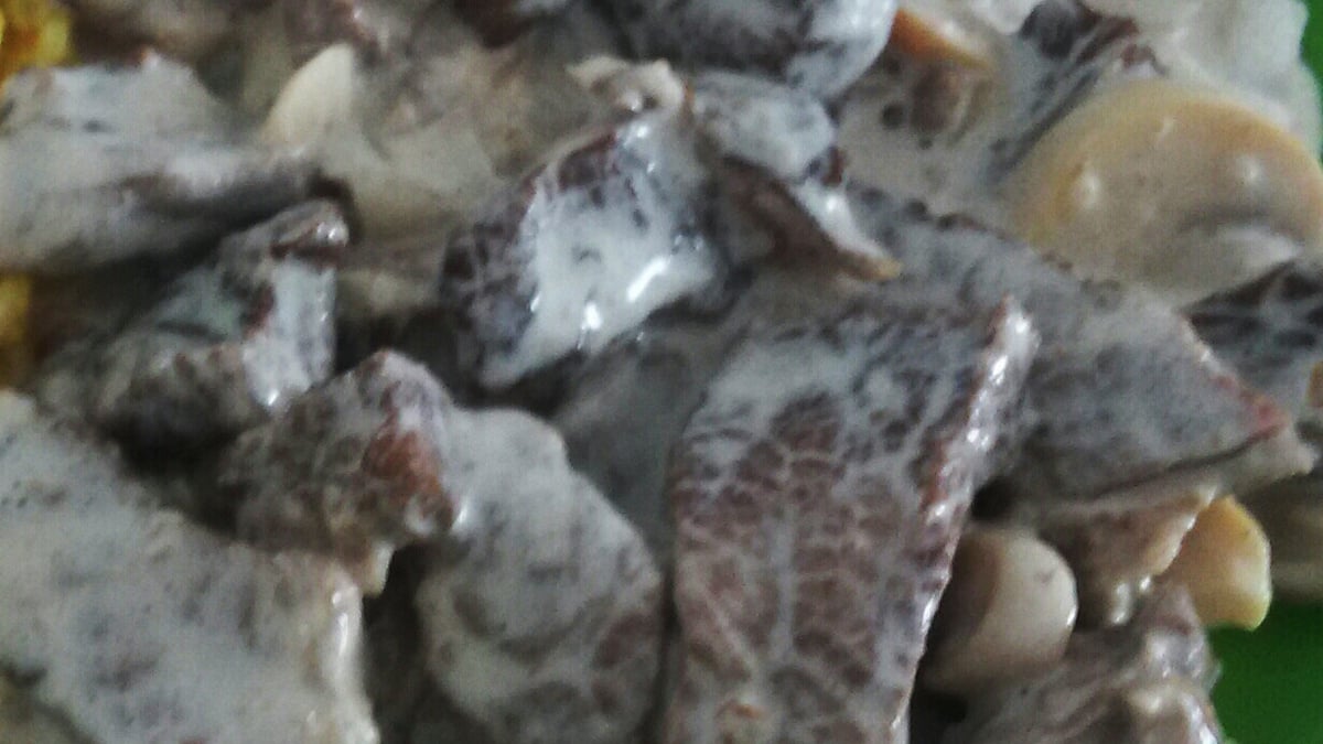 Estrogonofe de Fritadeira
