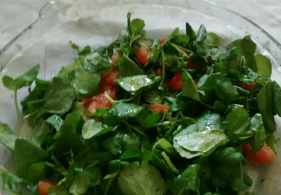 Salada de agrião