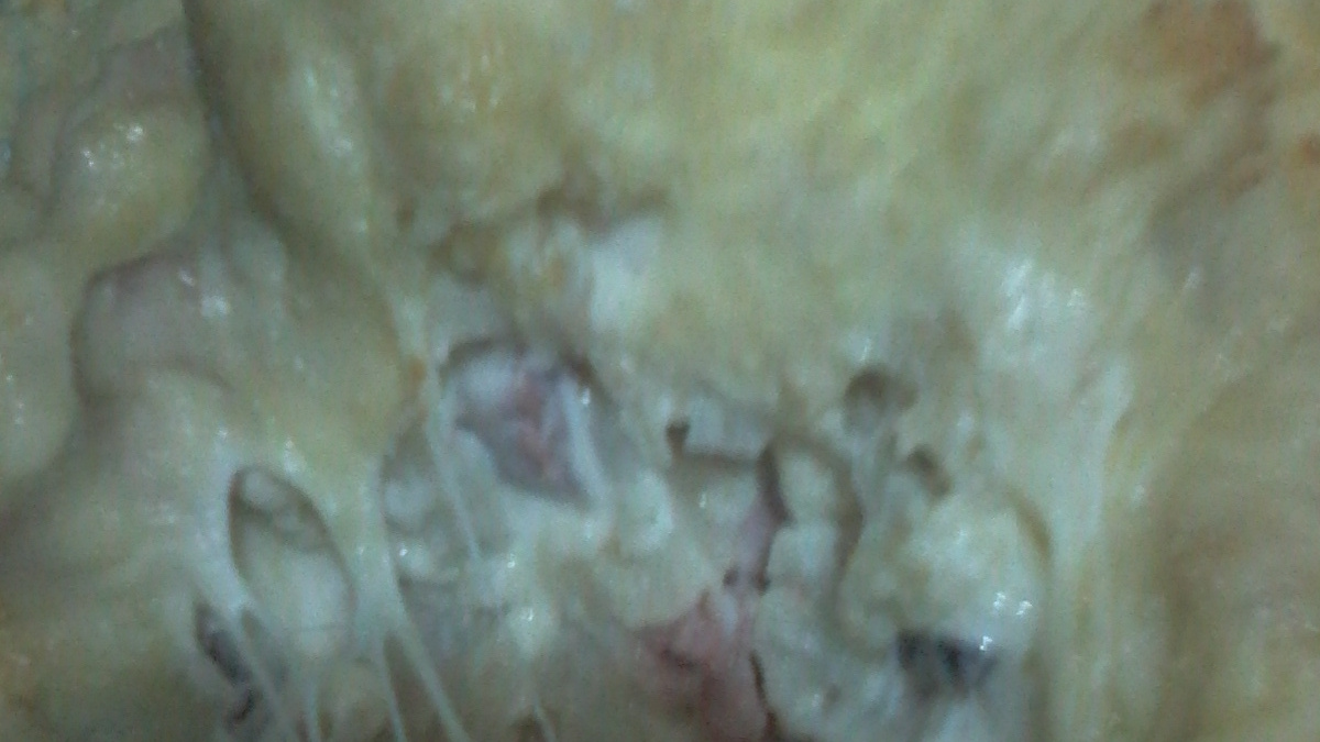 Couve-flor recheada e gratinada