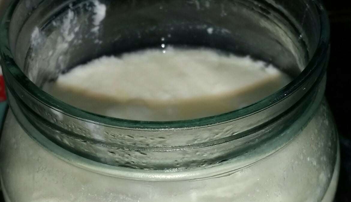 Coalhada da fazenda com leite de caixa