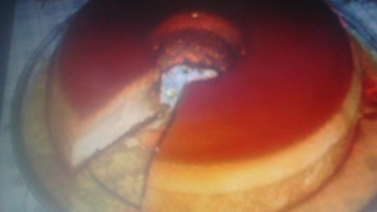 Bolo de pudim cremoso