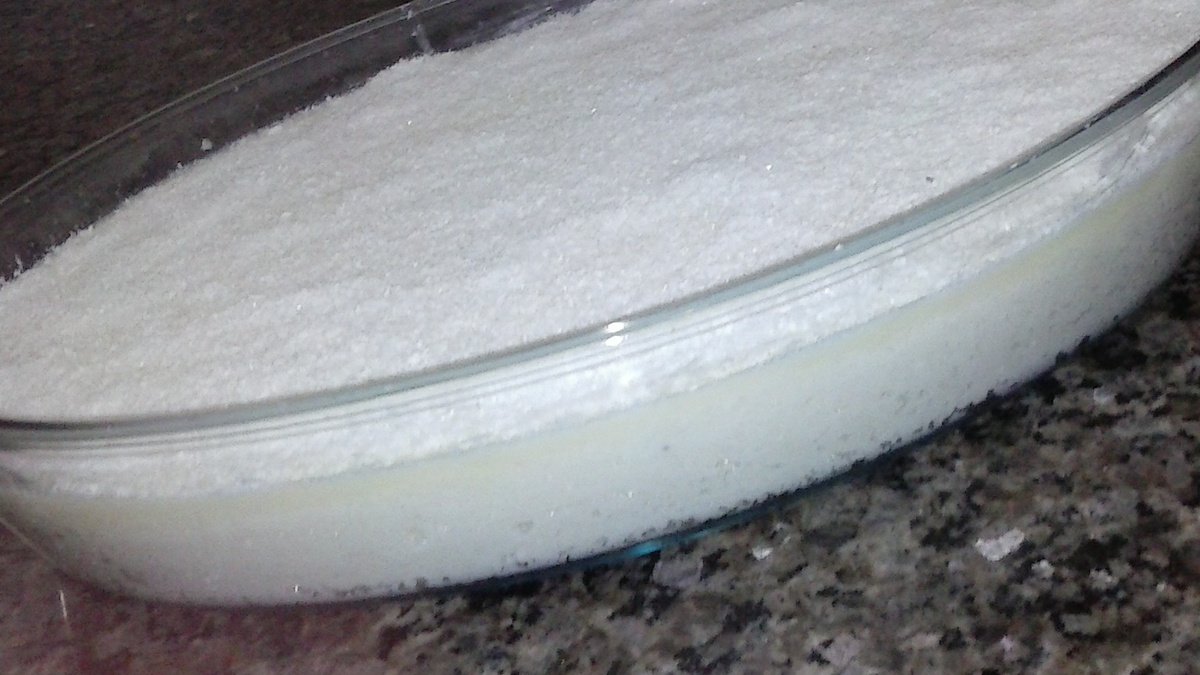 Bolo de tapioca tudo de bom