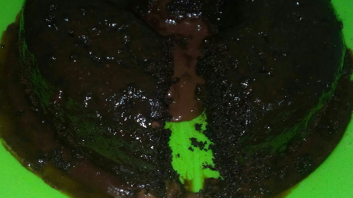 Bolo de chocolate sem farinha e sem trigo