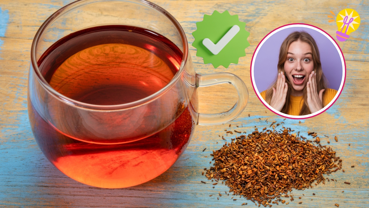 Cha Rooibos Chá de rooibos: como fazer, efeitos no corpo, possíveis benefícios e ...