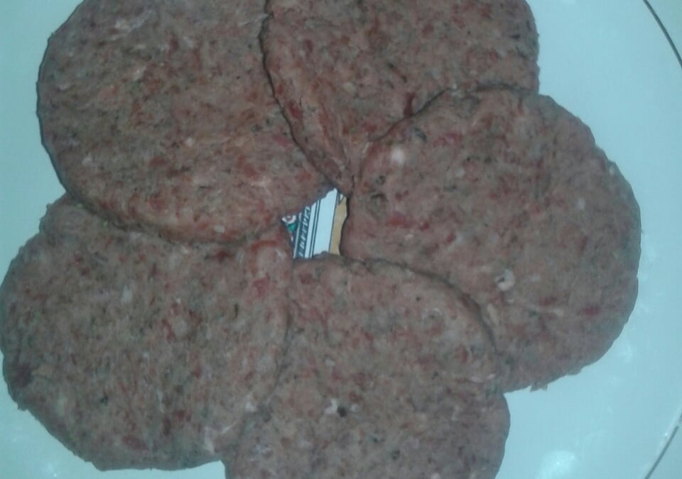 Hambúrguer artesanal
