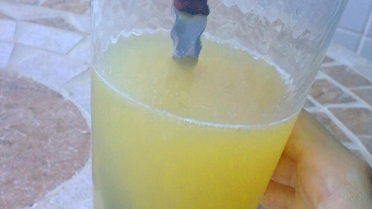 Chá gelado com frutas