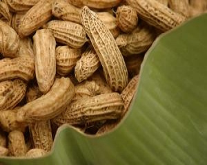 Cajuzinhos de amendoim