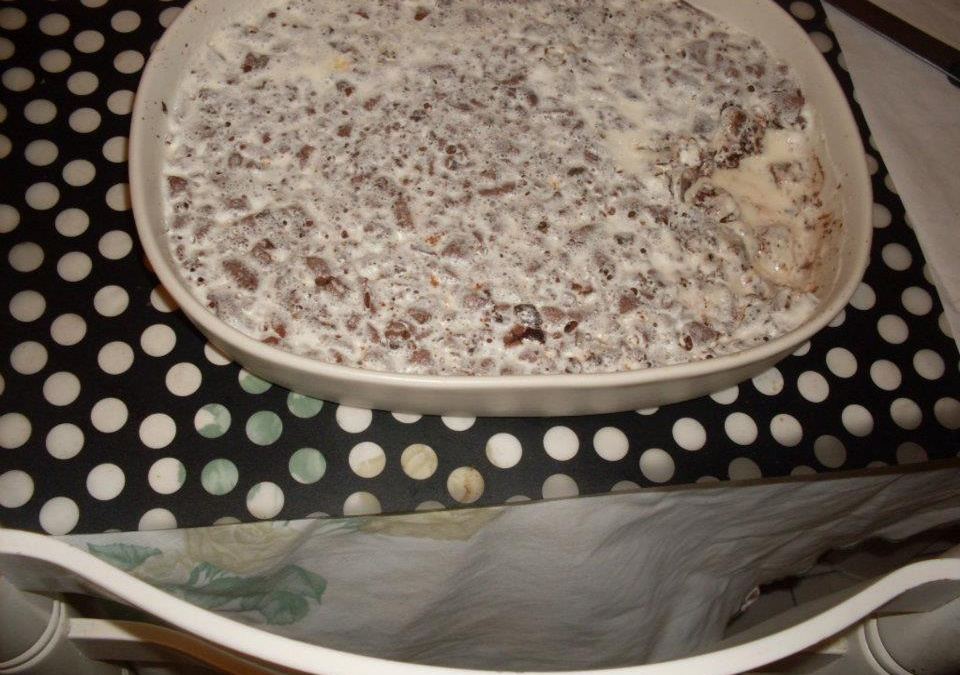 Panna cotta com chocolate