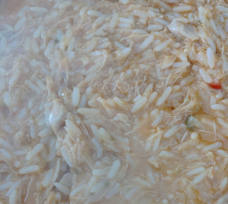 Risoto de frango