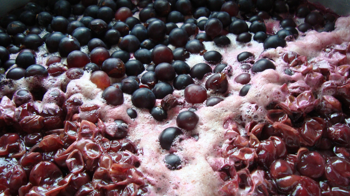Suco de uva preta da Jussara