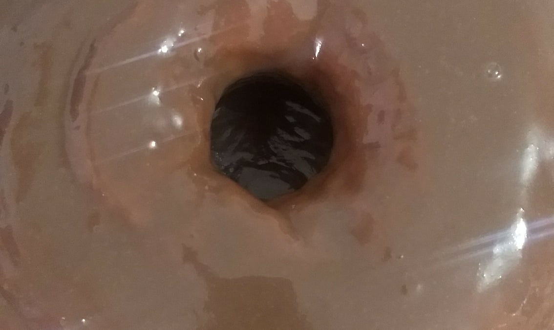Bolo fácil de cenoura no liquidificador