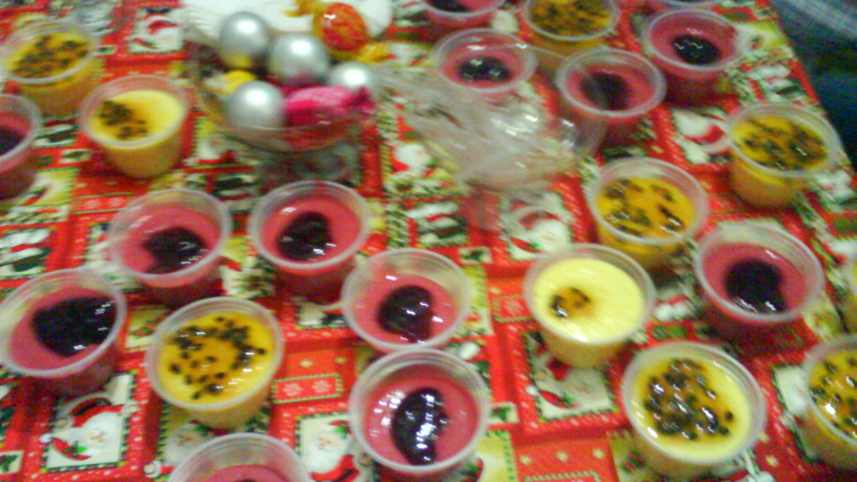 Mousse de frutas vermelhas (sem lactose)
