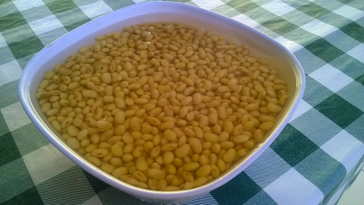 Leite de soja caseiro saboroso