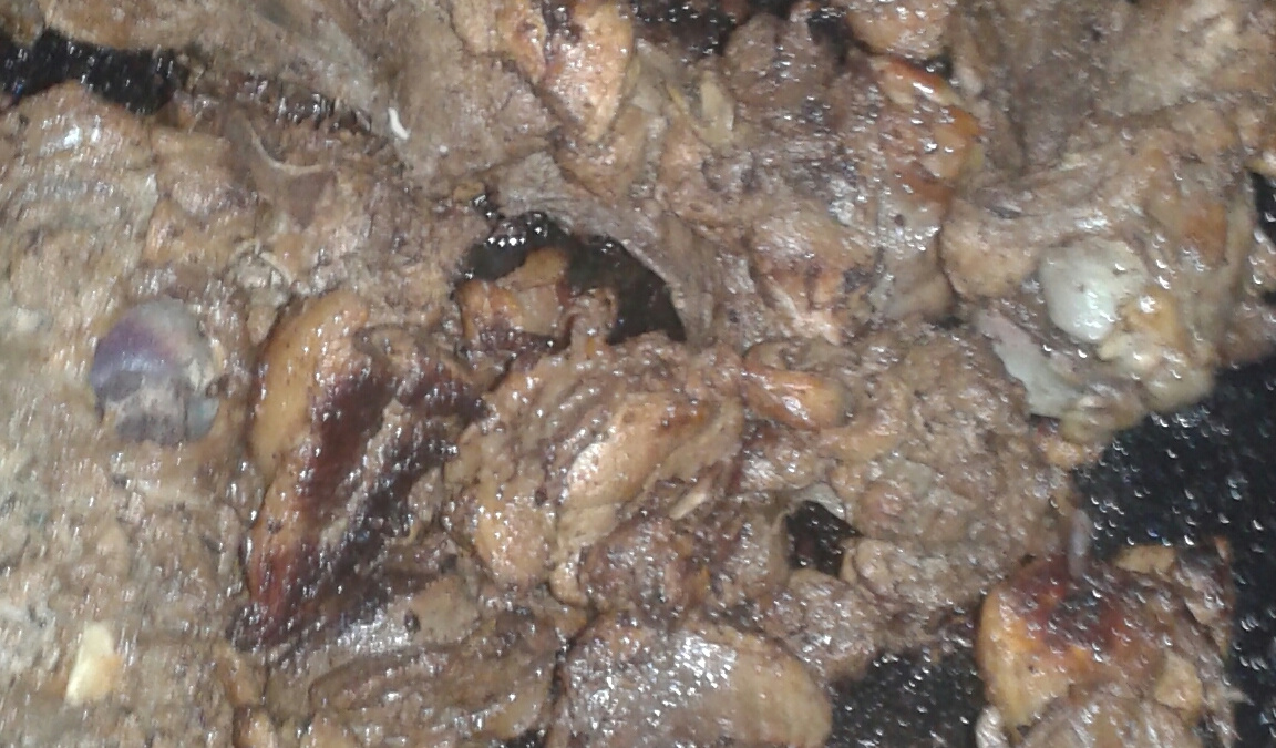 Carne de capivara