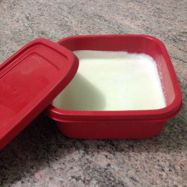 Leite condensado diet