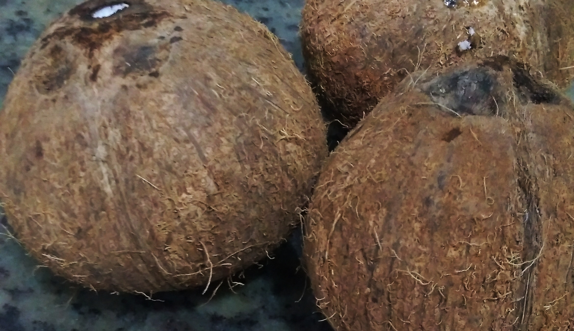 Óleo de coco