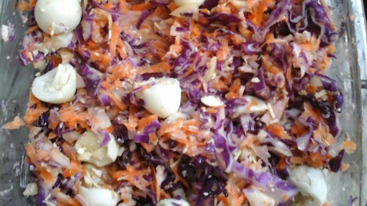 Salada crua de repolho e cenoura