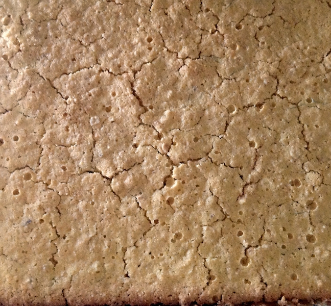 Bolo/biscoito da superfície lunar
