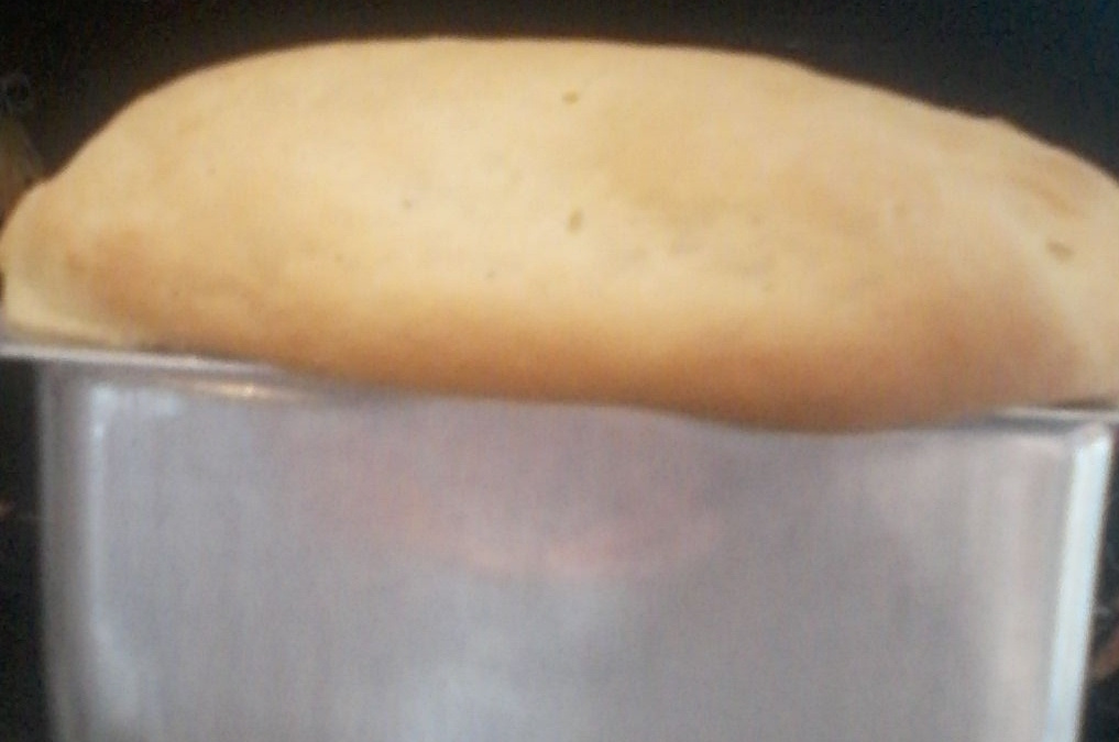 Pão de forma de liquidificador